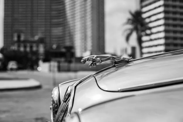 Kazoom Casino Aplicación Android/iOS